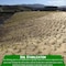 Farm Plastic Supply Jute Erosion Control Cloth, 4ftx225ft, Soil Saver Mesh Blanket, Jute Netting Z-Jute-4001 - alternate 3