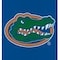 Coverking UNIVERSAL SEAT VEST DESIGNER 1PC, UNIVERSITY OF FLORIDA, ELA07 USVELA07 - alternate 2