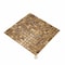 Apollo Tile Light Bronze 12 in x 12 in Shell Polished Floor and Wall Mosaic Tile 20 sqft/case, 20PK APLSMA88001A - alternate 1