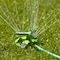 Ames Lawn Sprinkler, 3-Arm, Rotating, 360-Degree Rotation, 18 ft Coverage 20216400 - alternate 4