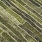 Homeroots 8' Olive Green And Dark Olive Green Round Striped Washable Indoor Outdoor Area Rug 608960 - alternate 7