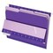 Pendaflex FOLDER, INTERIOR, LTR, VT, 100PK 421013VIO - alternate 1