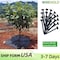 Wrightmaster 3.3 ft. W x 3.3 ft. L Light Duty Non-Woven Weed Barrier Fabric with Ground Nail, 5-Pack ZOR-FANGCAOBU - alternate 5