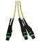 Eaton Tripp Lite Series Preloaded Fiber Panel, 1U - 2x 3x8F MTP/MPO-APC F/F 24F Trunk Cables, OS2, RJ45 N48S-2M3X8M-20 - alternate 5