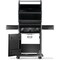 Napoleon Rogue 425 Series Gas Grill, 42,000 Btu/hr BTU, Natural Gas, 3-Burner, Smoker Included: Yes, Black R425NK-2 - alternate 5