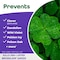 Bonide Weed Beater Weed Killer Concentrate 1 pt 309 - alternate 4