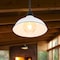 Jonathan Y Jasper 12.25" 1-Light Farmhouse Industrial Indoor/Outdoor Iron LED Pendant, White JYL7611A - alternate 6