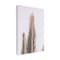 Trademark Fine Art Outdoor Canvas Art - Shot by Clint 'Phoenix Palm' Wall Art for Patios, or Gardens 1X25308-OC2232WR - alternate 1
