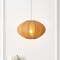 Jonathan Y Kira 18.38" 1-Light Scandinavian Japandi Adjustable Lantern Metal w/Ribbed Cocoon UFO Saucer Shade L JYL4208D - alternate 5