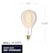 Bulbrite Grand Nostalgic Collection 60w Dimmable Pear Shape Oversized Decorative Med (E26) Base, 2200K Amber 137101 - alternate 3