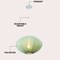 Jonathan Y Kira 18.38" 1-Light Scandinavian Japandi Adjustable Lantern Metal w/Ribbed Cocoon UFO Saucer Shade L JYL4208B - alternate 6