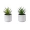 Monarch Specialties Artificial Plant, 9-in. Tall, Succulent, White Cement Pots, Contemporary, Modern, 2PK I 9362 - alternate 1