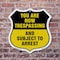 Signmission No Trespassing Shield Sign You Are Now T, 6 Inch X 6 Inch, Plastic Sign SHI-P-6-412 - alternate 4