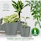 Lifemaster Planter Pots with Drainage Holes, Lightweight, Durable, Space-Saving, Gray, 5PK LMFLOPGRY55 - alternate 5