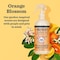Mrs. Meyers Clean Day Clean Day Pets Liquid Odor Neutralizer 12 oz 12111 - alternate 5