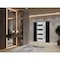 Vdomdoors Front Exterior Prehung Steel Door Ronex0131 Black Enamel 2 Sidelight Exterior Windows Sidelites RONEX0131EXD-BLK-W16+36+16 X H80-RH-I - alternate 3
