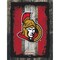 Holland Bar Stool Co Ottawa Senators 15" x 20" Canvas Wall Art LCnvs02-1520OttSen - alternate 1