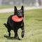 Kong Flyer Large Dog Toy KO-KF3 - alternate 2