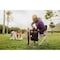 Picnic Time Family Of Brands Sports Chair, Black 809-00-179-000-0 - alternate 5