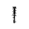 Fcs Struts Suspension Strut And Coil Spring Assembly 1334108R - alternate 1
