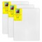 Strathmore 300 Series Traditional Stretched Canvas, 8x10 inch, 3PK P313-08 - alternate 1