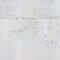 Msi Praia Carrara Sample Polished Porcelain Floor And Wall Tile ZOR-PT-0849-SAM - alternate 1