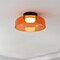 Jonathan Y Kalmar 12" Modern Minimalist Iron/Glass Dimmable Integrated LED Flush Mount, Orange/Black JYL7153A - alternate 5
