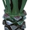 Pure Garden Giant Agave Fake Plant 52-Inch Faux Succulent with Pot Modern Artificial Trees 50-10016 - alternate 5