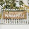 Signmission Farm Fresh Pineapples, 48 Inch x 120 Inch, Vinyl Banner B-120-30608 - alternate 4