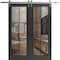 Sartodoors Sturdy Double Barn Door, Lucia 2366 Matte Black with Clear Glass and Aluminum Strips, 13FT Rail Ha LUCIA2366DB-S-BLK-36 x 80 - alternate 1