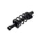 Fcs Struts Suspension Strut And Coil Spring Assembly 1345688L - alternate 5