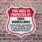 Signmission Video Surveillance Shield Sign This Area, 6 inch X 6 inch, Plastic Sign, 2PK SHI-P-2PACK-6-473 - alternate 3