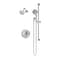 Symmons Braston HydroMersion Single Handle Shower Faucet Trim Kit with Hand Spray (Valve not Included) S5898STN15TRM - alternate 1