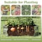 Pure Garden Galvanized Raised Garden Bed 21" L x 9.75" W x 5.5" H Raised Garden Beds Hexagonal Planter Box 50-193 - alternate 4