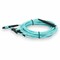 Add-On Addon 1M Mpo (Female) To 2Xmpo (Female) 12-Strand Crossover Aqua Om4 ADD-MPO-2MPO1MOM4 - alternate 4
