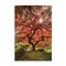Homeroots First Colors of Fall II 1 White Framed Print Wall Art 405076 - alternate 1