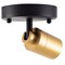 Vidalite Shura Black & Brass Spot Light with Adjustable Head, Integrated LED Bulb, 3000k, 490 Lumens CE1007790 - alternate 5