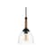 Jonathan Y Alys 7.63" Adjustable Rope-Wrap Modern Rustic Iron/Glass LED Pendant, Black JYL1103A - alternate 7