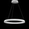 Jonathan Y Baxter 23.5" 1-Light Modern Contemporary Aluminum Integrated LED Hoop Pendant, Matt White JYL7200A - alternate 6