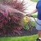 Dr. Earth Final Stop Yard & Garden Organic Insect Killer Liquid Concentrate 32 oz 8004 - alternate 4