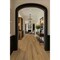 Ackland Sample Parkland Sienna Glow Waterproof Rigid Core Luxury Vinyl Plank Flooring AKVRCSIGL7X48-5020-SM - alternate 6