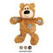 Kong Wild Knots NKR1 Dog Toy, L/M, Bear, Assorted KO-NKR1 - alternate 3