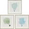 Homeroots Set Of Three Sea Fan I Silver Framed Print Wall Art, 3PK 526900 - alternate 1