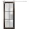 Sartodoors Sturdy Barn Door Frosted Tempered Glass Planum 2122 42x80 Solid Core Modern Interior PLANUM2122BD-S-CA-42 x 80 - alternate 1