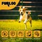 Furloo 1,000 Pet Waste Station Header Bags, Heavy-Duty Leak-Resistant Dog Waste Refill Bags, 1000PK FLO21-10 - alternate 5