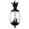Homeroots Clear and Black Three Light Pineapple Outdoor Hanging Pendent Light 398015 - alternate 1
