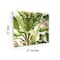 York Wallcoverings Banana Leaf Dark Brown and Pink Wallpaper AT7067 - alternate 6