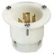 Leviton Flanged Locking Inlet, 30 A, 250V AC, Single Phase, 2 Pole, Flush Mount, Screw Terminals, White 2625F - alternate 1