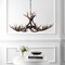 Jonathan Y Eldora 49" 10-Light Rustic Farmhouse Adjustable Resin Antler LED Chandelier, Brown JYL6320A - alternate 6