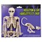 Fun World 14 in. Skeleton Walker Asst Halloween Decor 96121 - alternate 2